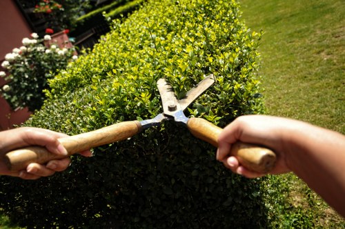 Chelsea garden clearance tools and equipment