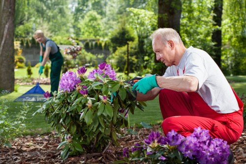 Eco-friendly sustainable landscaping practices in Chelsea