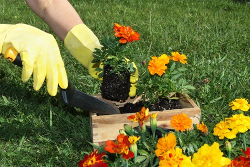 Gardener edging a small lawn in Chelsea