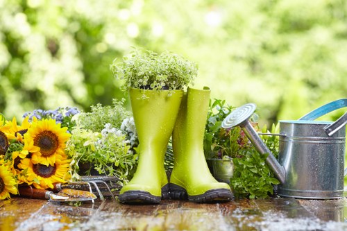 Healthy green grass representing Chelsea lawn care