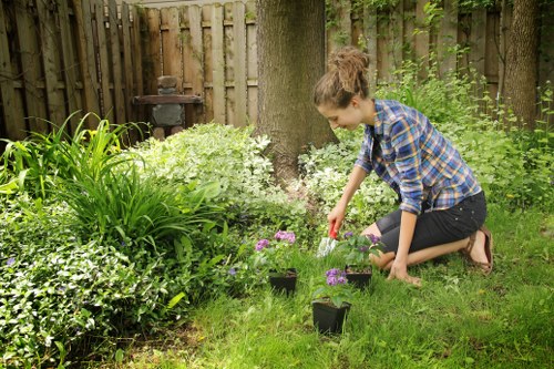 A young woman with light brown hair tied back, wearing a blue and black checkered shirt and black trousers, kneels on a well-maintained lawn in an outdoor garden area, tending to flowering plants in small black pots. The garden features a variety of lush green plants, including tall leafy grasses and flowering shrubs, set against a weathered wooden fence. Behind her, a mature tree trunk is visible, with additional greenery and garden tools in the background, indicating active gardening work. The scene is illuminated by natural daylight, suggesting a clear or partly cloudy day, within a domestic outdoor space that could be part of a residential property in Chelsea or nearby. This setting aligns with professional gardening services associated with landscaping and lawn care, such as those offered by Lawn Mowing Chelsea, emphasizing careful planting and outdoor maintenance in a suburban garden environment.