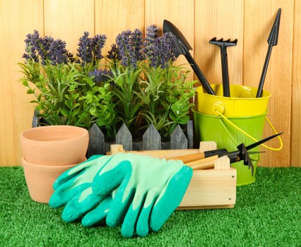Healthy trimmed tree branches enhancing property aesthetics