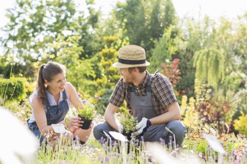 Chelsea decking maintenance and repair services